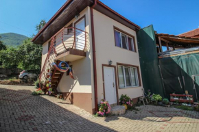 Apartmani Mishe